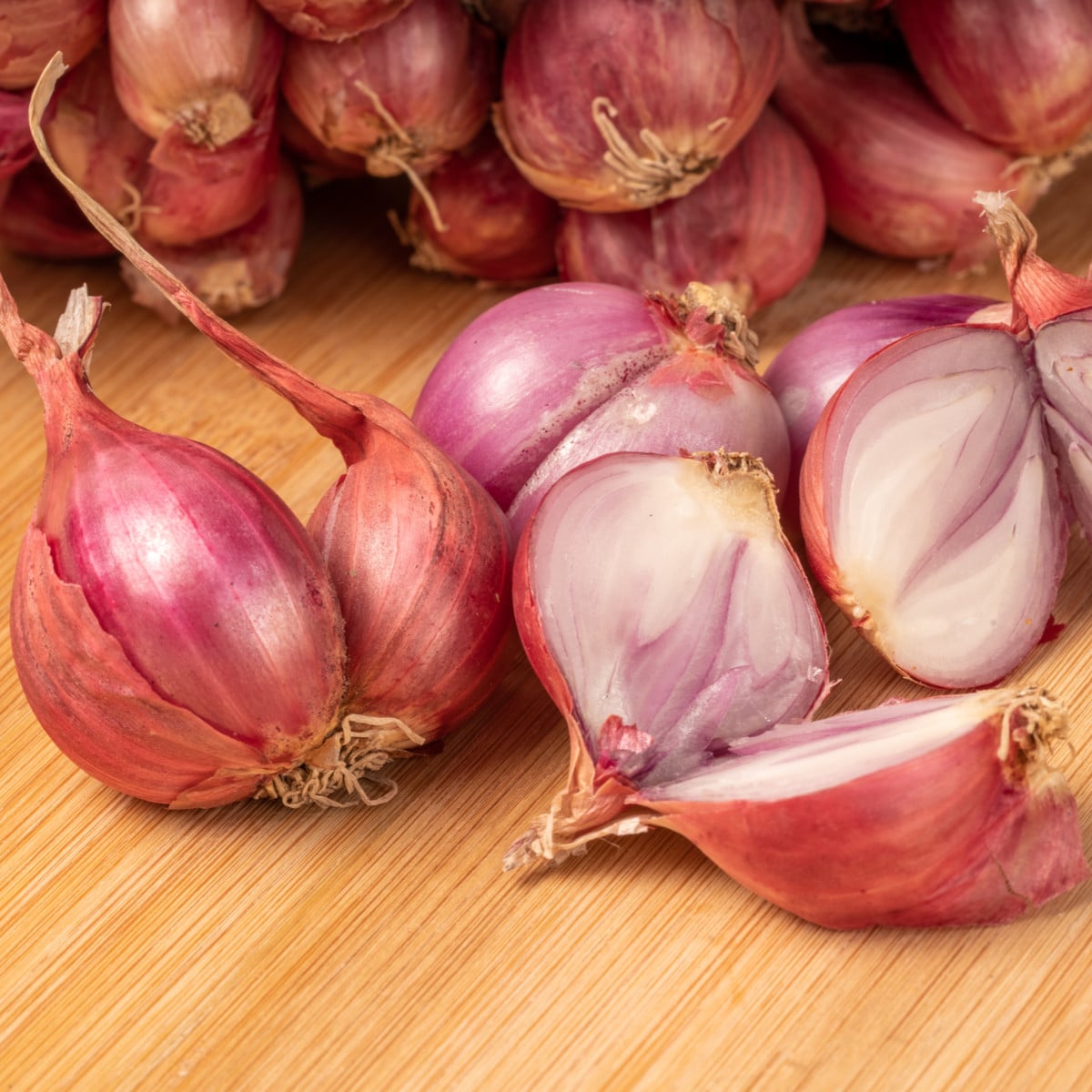 Cibuľa šalotka červená Sante jarná - Allium cepa - cibuľky - 500 g