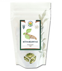 Breza previsnutá - Betula pendula - list - 50 g