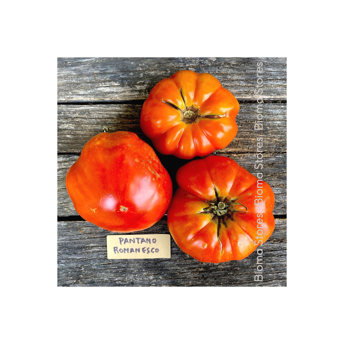 Paradajka Pantano Romanesco - Solanum lycopersicum - semená paradajky - 7 ks