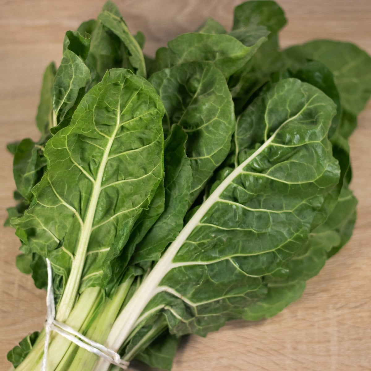 Mangold stopkový Lusiana - Beta vulgaris - semená mangoldu - 50 ks