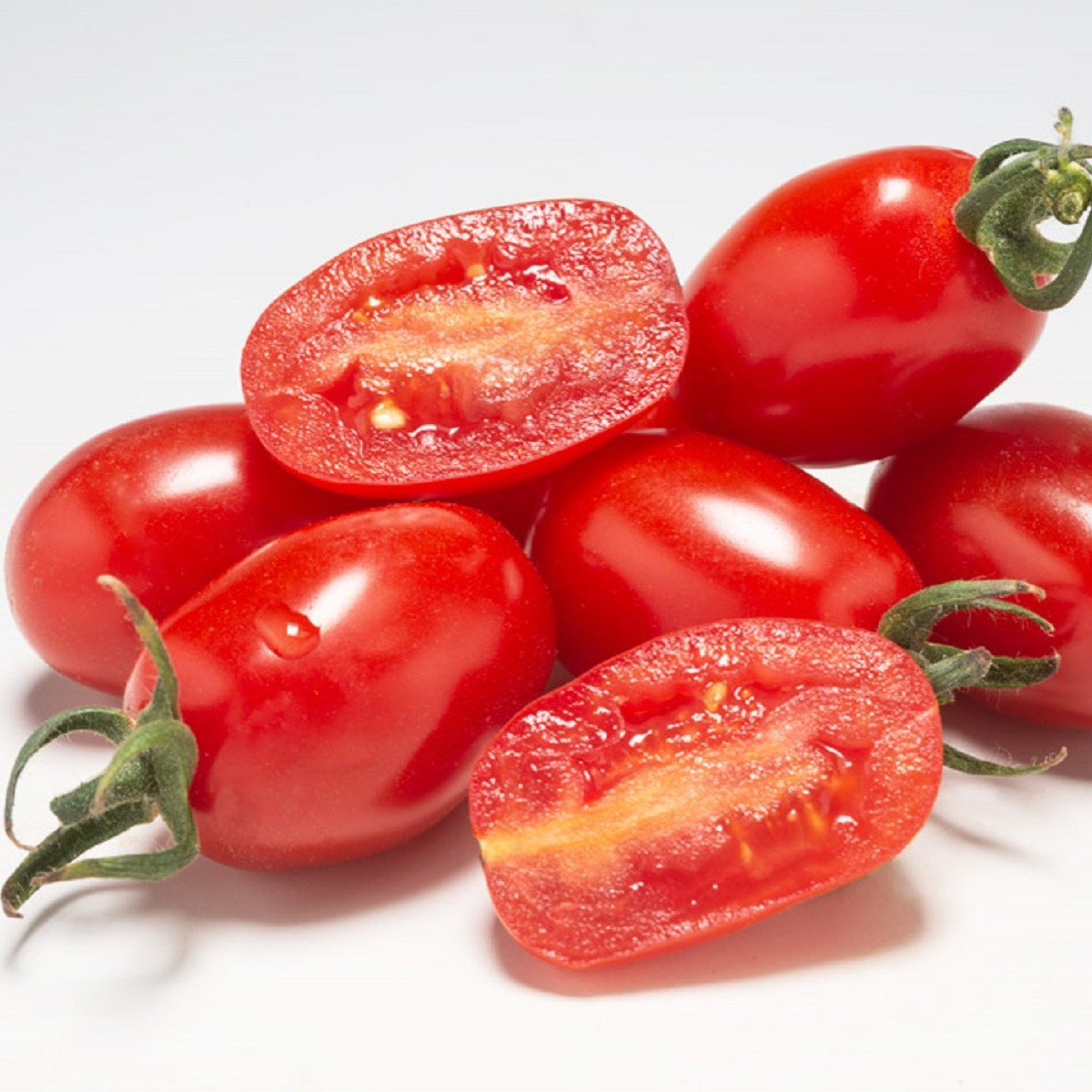 Paradajka Dattored F1 - Solanum lycopersicum - semená paradajky - 6 ks