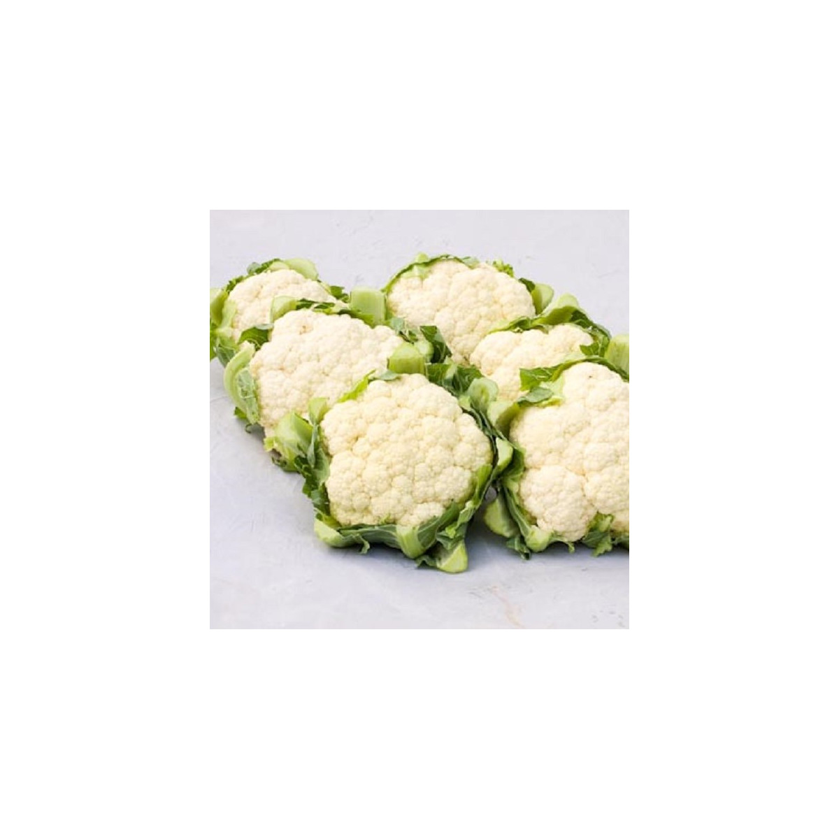 BIO Karfiol Amabile KS - Brassica oleracea - bio semená karfiolu - 20 ks