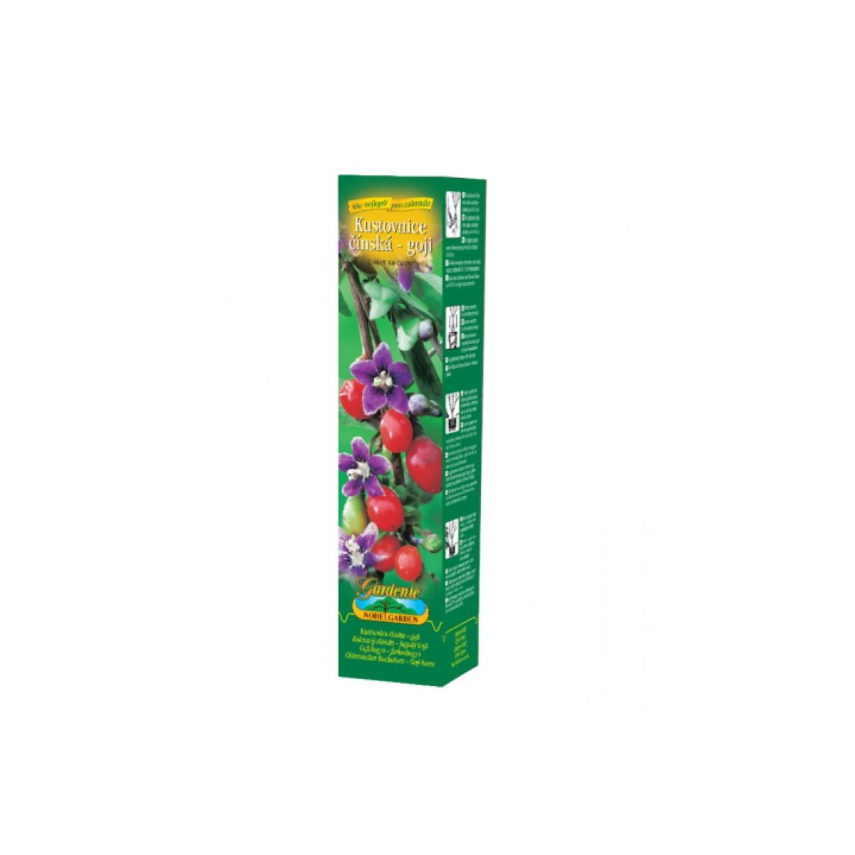 Kustovnica goji červená - sadenice goji - 1 ks