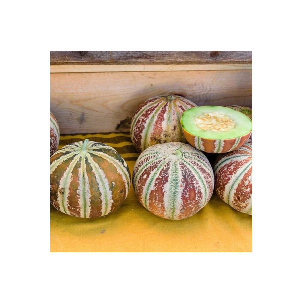 Melón cukrový Kajari - Cucumis melo - semená melónu - 6 ks