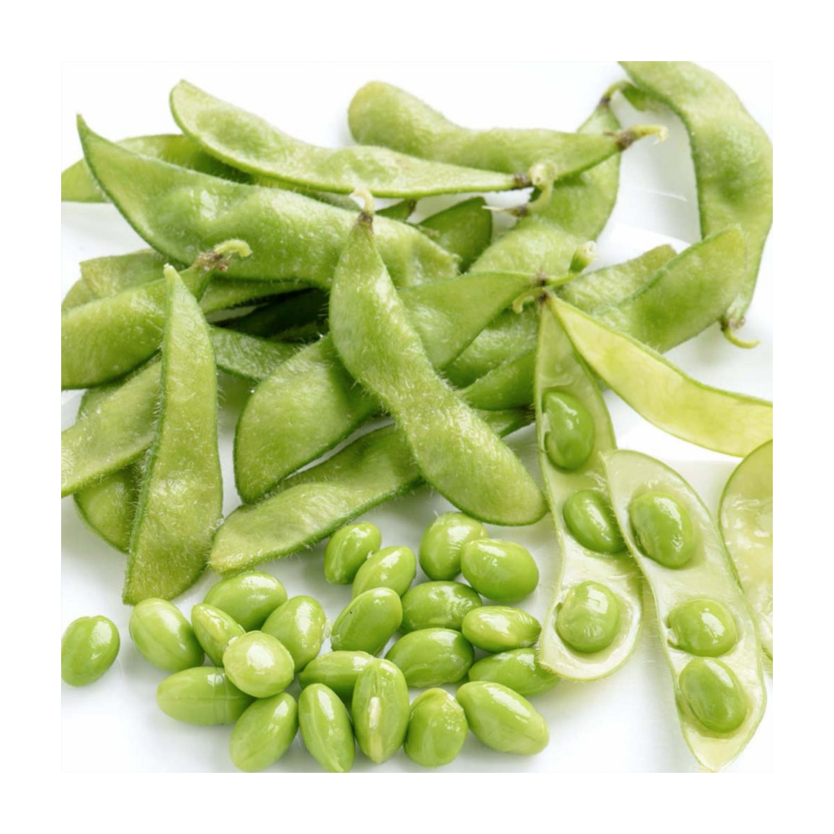 BIO Sója Green Shell - Glycine max - bio semená sóje - 20 ks