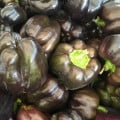 Paprika Babybell Chocolate - Capsicum annuum - semená papriky - 8 ks