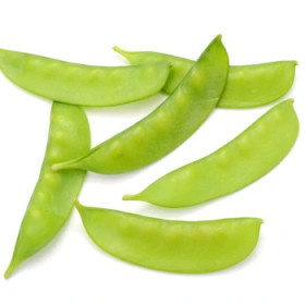Hrach cukrový