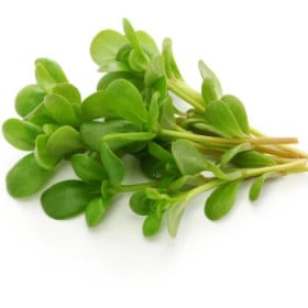 Portulaka