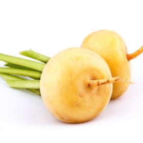 Ostatné BIO koreňová zelenina