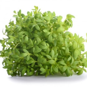 Ostatná BIO listová zelenina