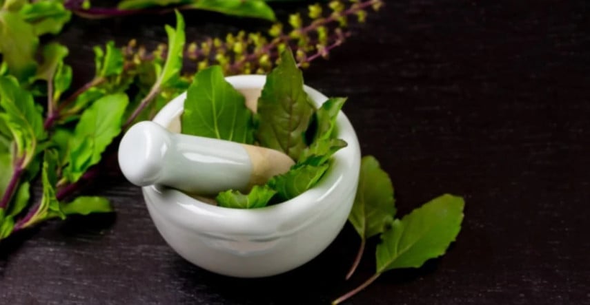 Tulsi - posvätná bylinka a jej použitie