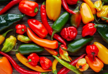 Top 5 chilli papričiek, ktoré musíte vyskúšať