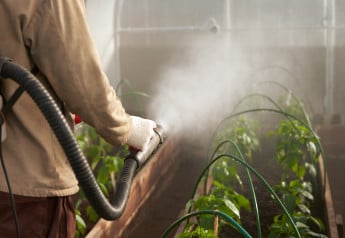Postrek na roztočce: ako spoznať napadnutie a účinne sa ich zbaviť