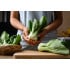 Rýchla listová zelenina Pak choi: pestovanie pre začiatočníkov