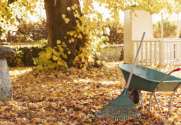 Záhradníci majú v novembri stále veľa práce