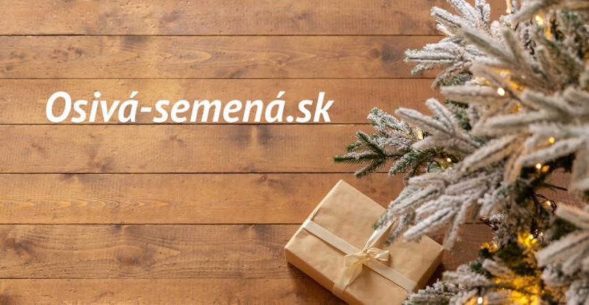 Vianoce sú za dverami. Viete už, čím obdarujete blízkych?